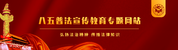 八五普法宣传教育专题网站
